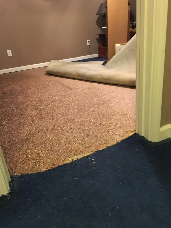 Carpet pad removal revealing water damage during Drying & Dehumidification in Mount Arlington