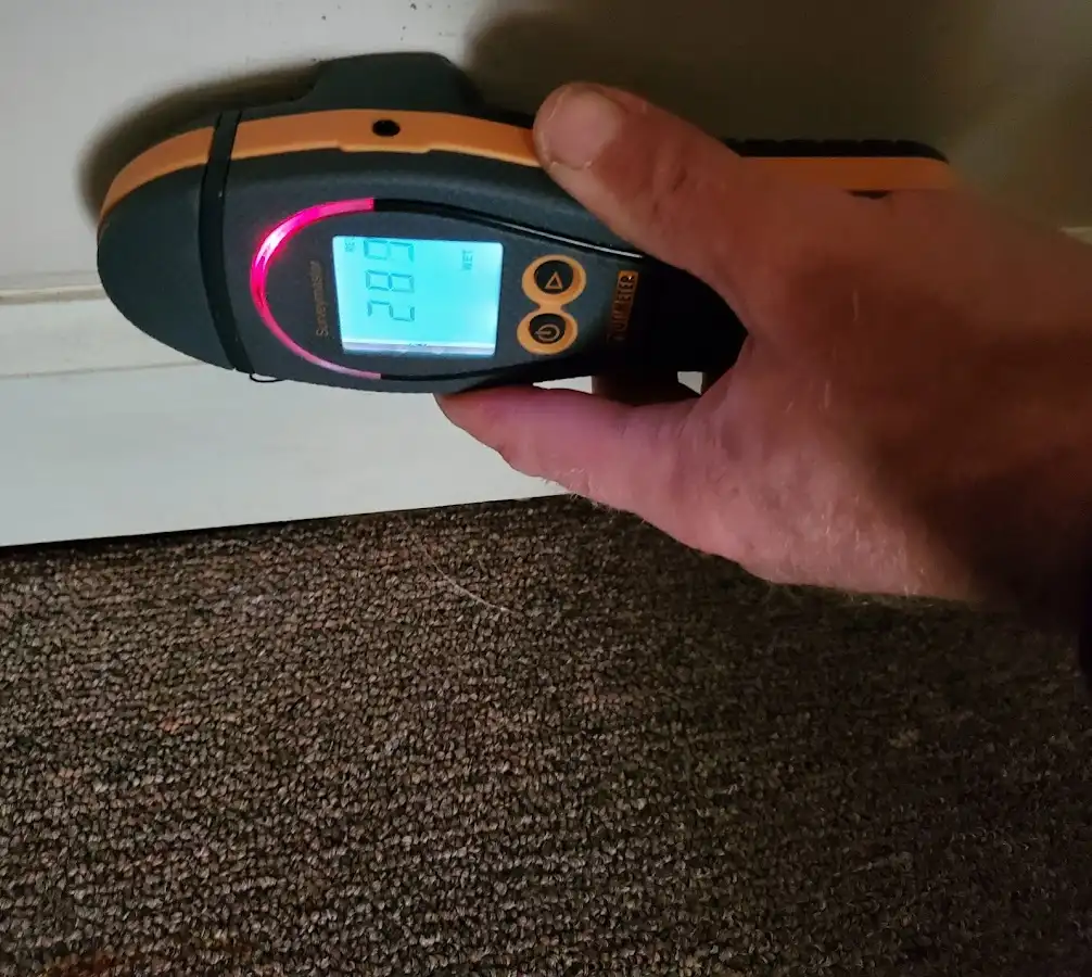 Moisture detection at baseboard during Sewage Cleanup & Sanitation in Mount Arlington